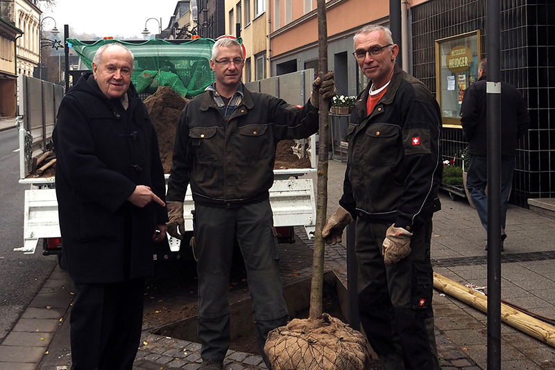 Stadt Bendorf pflanzt nach
