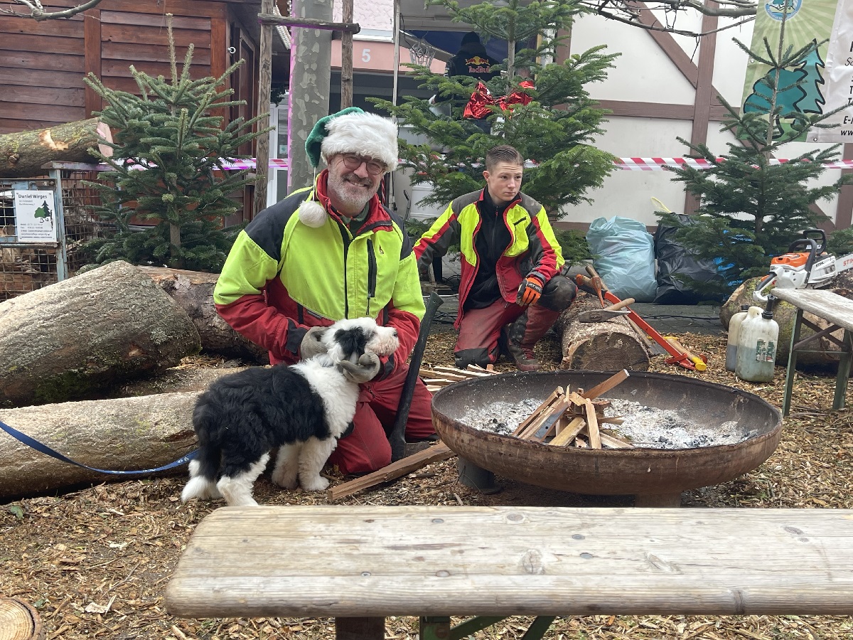 Bendorf im regnerischen Weihnachtsglanz