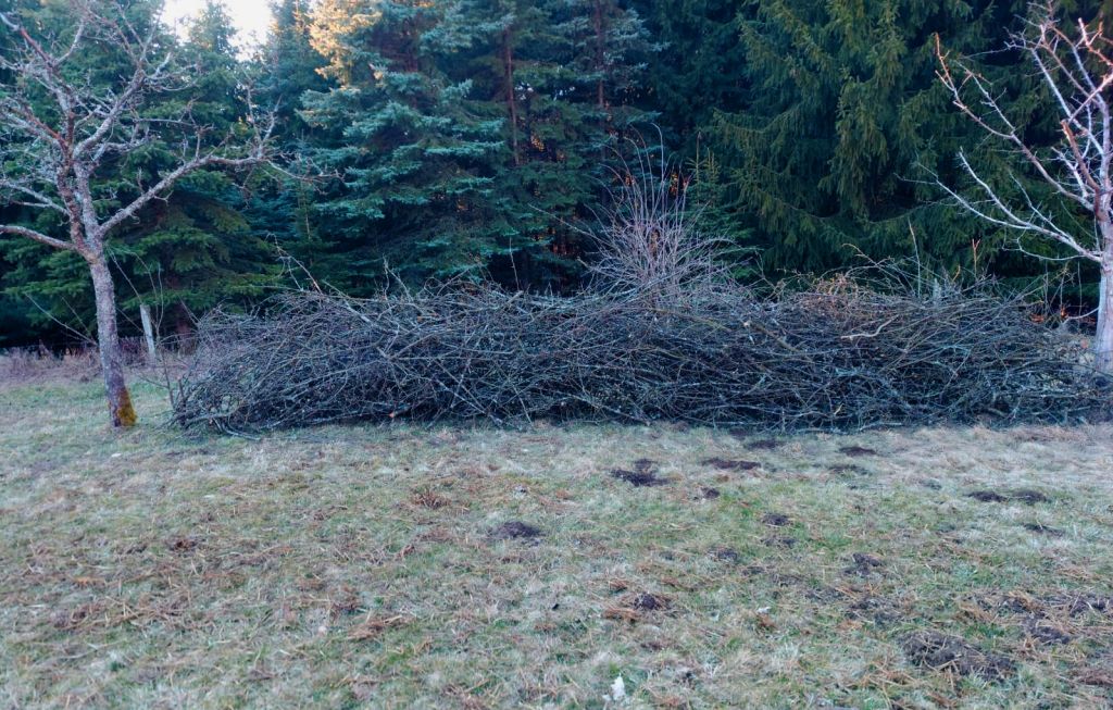 Frisch aufgeschichtete Benjeshecke in der Streuobstwiese. Fotos: privat