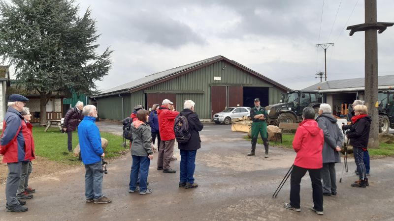 Westerwaldverein Bad Marienberg wanderte rund um Ailertchen