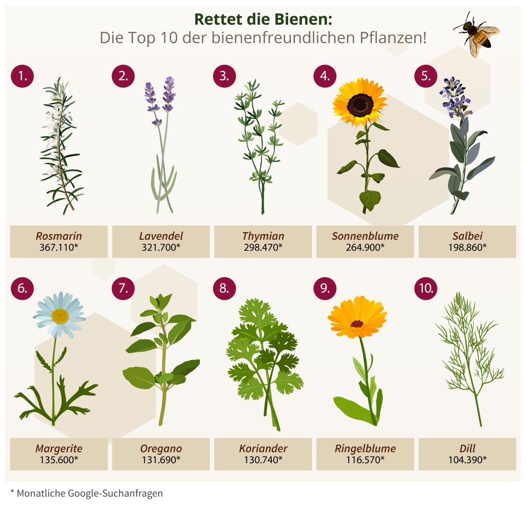 Die zehn beliebtesten Bienenpflanzen. Grafik: Heimwerker.de