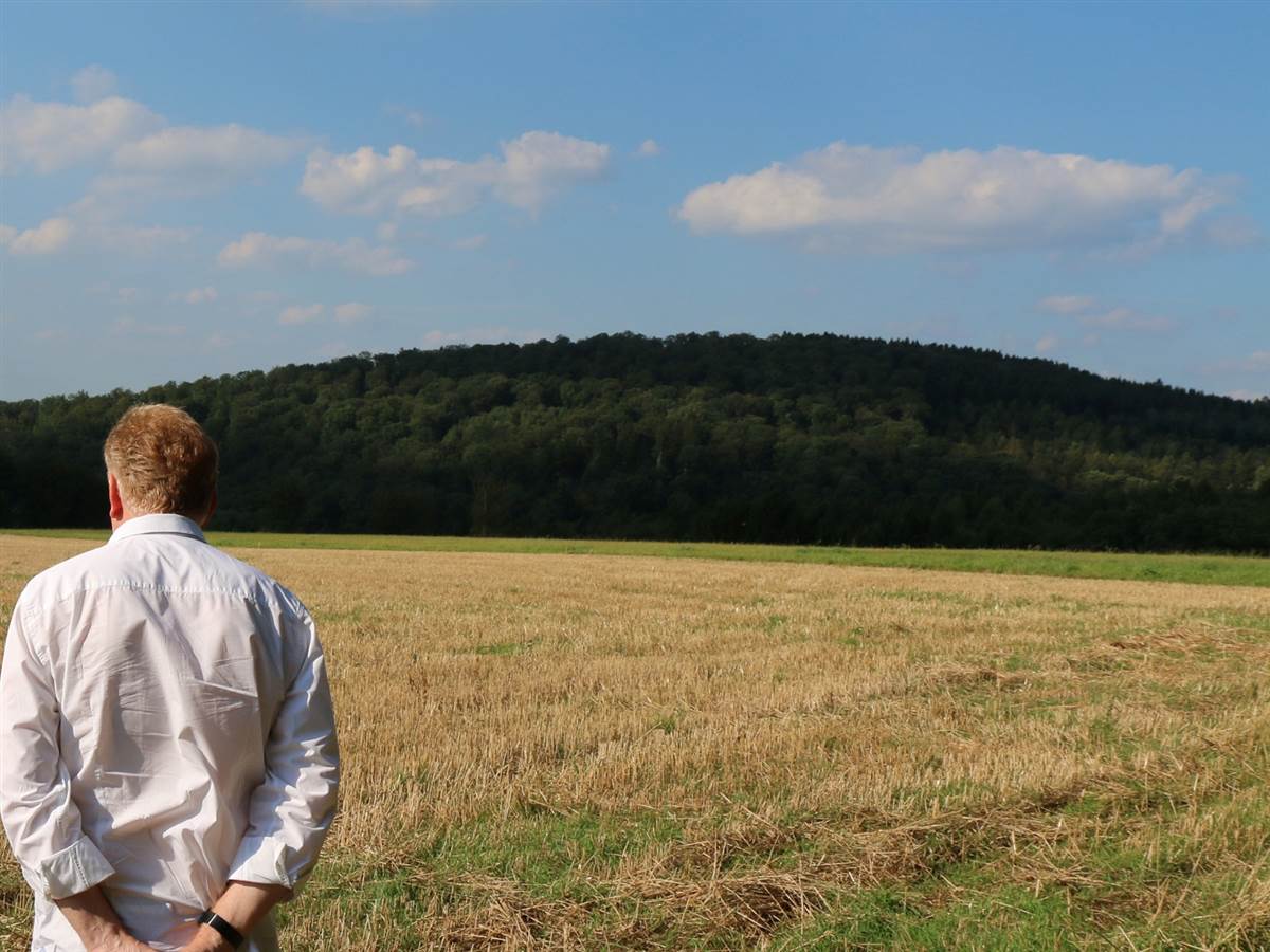 So soll der Hmmerich zwischen Gebhardshain und Mittelhof nach dem Wunsch der gleichnamigen Brgerinitiative bleiben: frei von Windrdern. Daher fordert sie die Brger dazu auf, im jetzt eingeleiteten Genehmigungsverfahren ihre Einwnde gegen die aktuell geplanten Windrder zu erheben. (Archiv-Foto: BI Hmmerich)