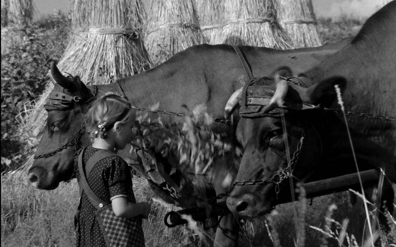 Die Zusammenstellung umfasst Filme aus mehr als 100 Jahren Siegen-Wittgensteiner Geschichte. (Foto: Alexander Fischbach/Archiv)