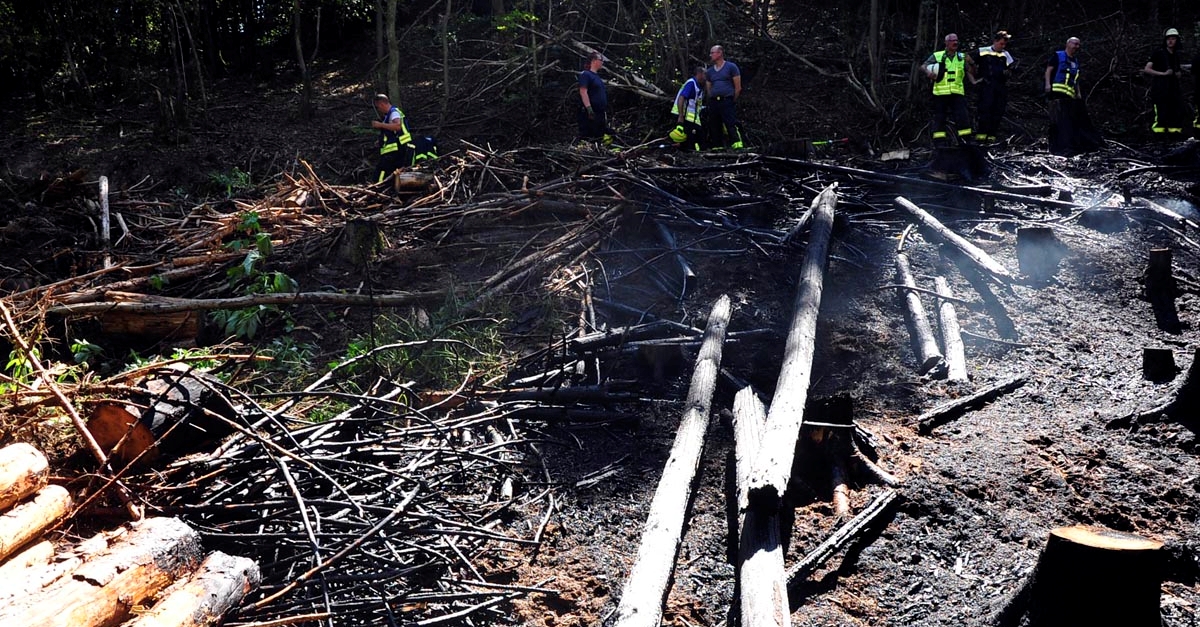Bitzen: Ein weiterer Vegetationsbrand beschftigt die freiwilligen Feuerwehren