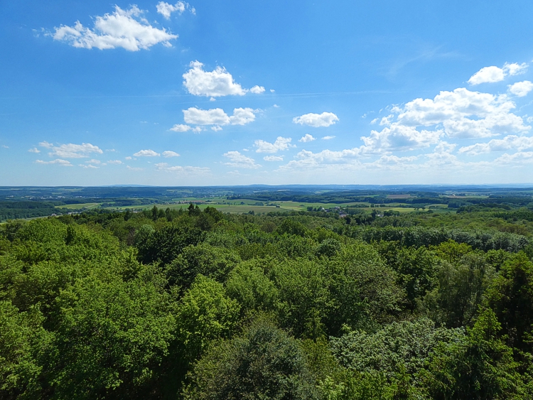 Der Blick nach Westen. 