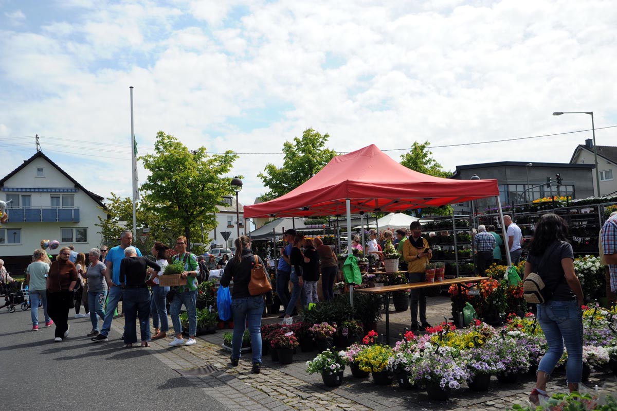 Beim Blumenmarkt in Horhausen strahlte die Sonne mit den Pflanzen um die Wette
