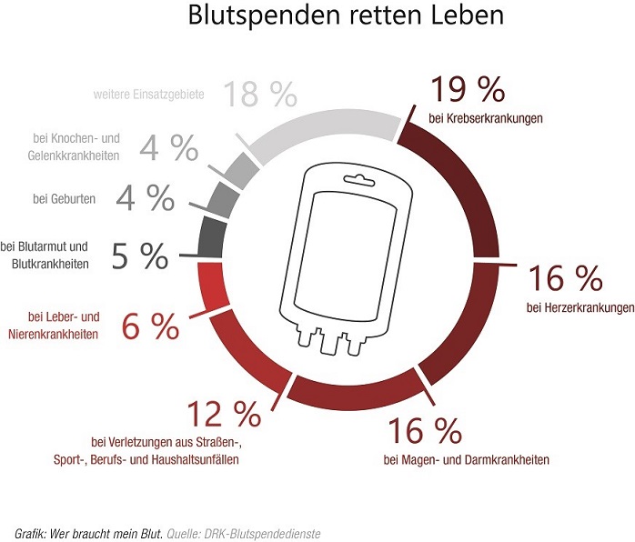 Die Grfik zeigt, wie das Spendenblut zu welchen Anteilen gebraucht wird. (Quelle: DRK Rheinland Pfalz und Saarland)