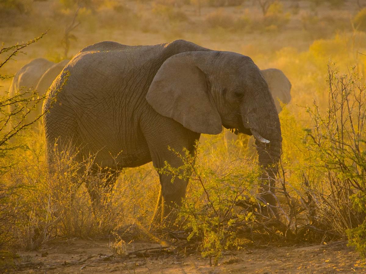 Berge & Meer bietet auch Reisen nach Namibia an. (Symbolfoto: Pixabay)