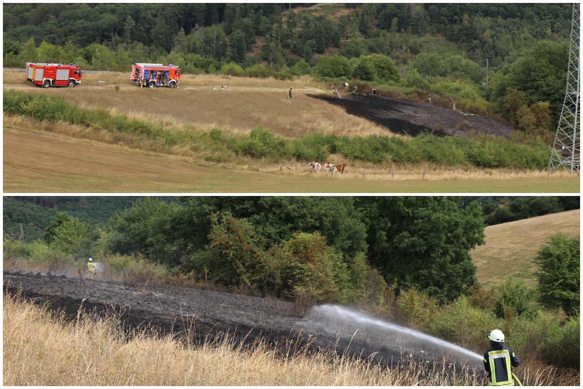 Flchenbrand bei Dinkelbach: 1.200 Quadratmeter Gebsch und Wiese brennen