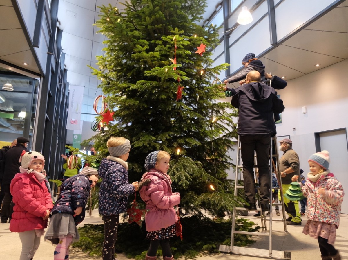 Leuchtende Kinderaugen beim traditionellen Weihnachtsbaumschmcken in Wissen
