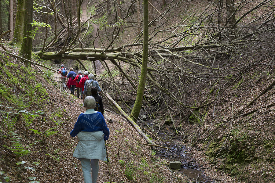 Impressionen vom Wanderweg. Fotos: Helmi Tischler-Venter