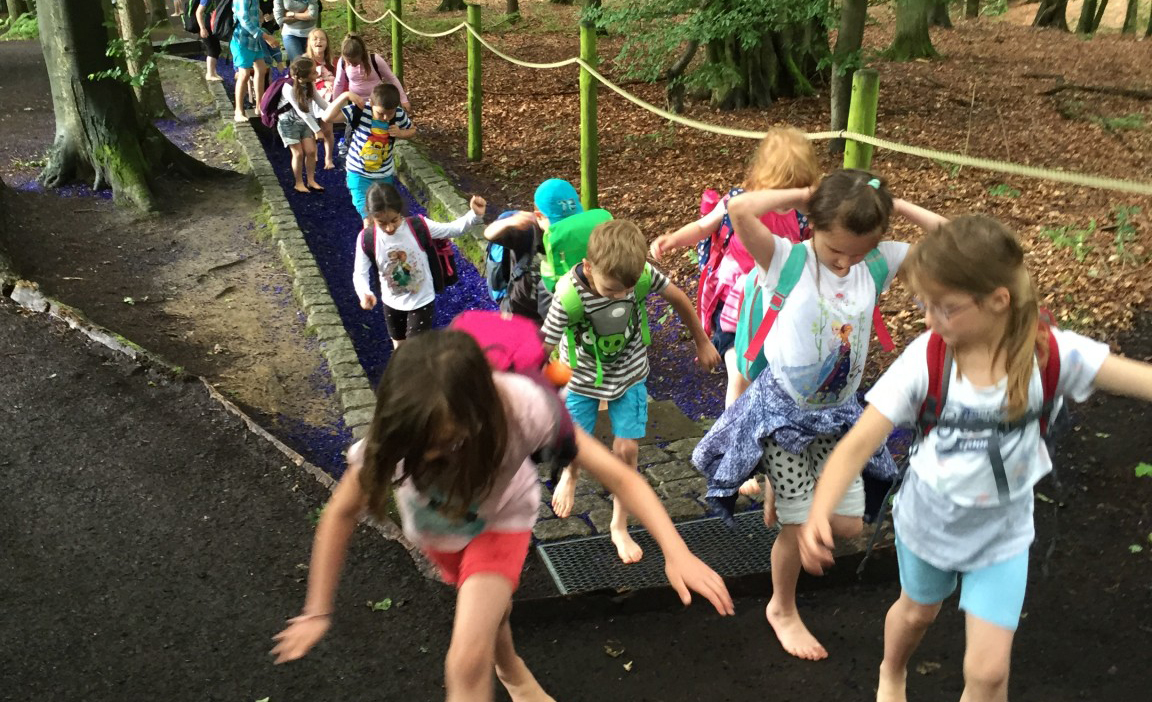 Einen Tag im Wald knnen Kinder von 8 bis 12 Jahre am 14. Juli im Buchfinkenland erleben