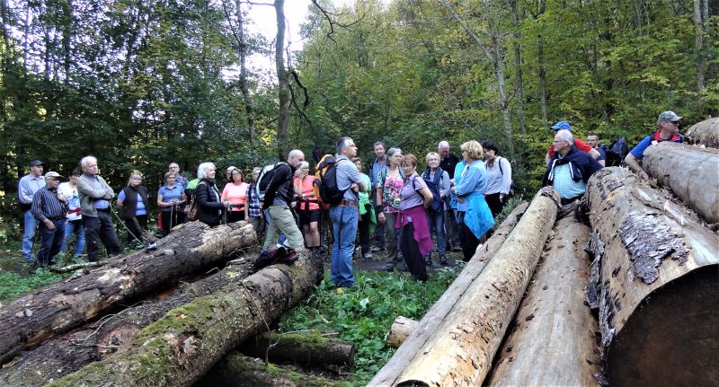 Pilzexkursion in Hbingen verlegt auf 3. Oktober  wenn es vorher regnet