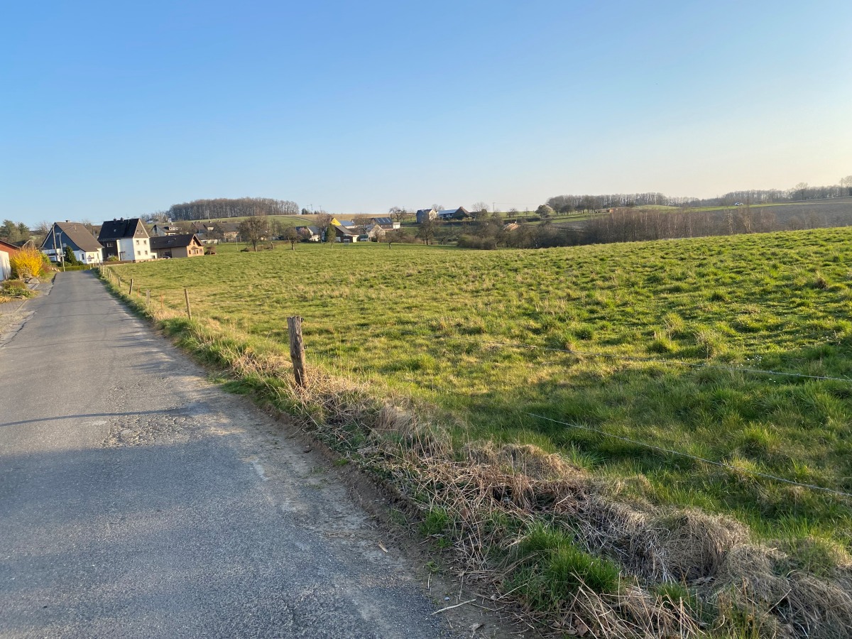 Entlang des sdlichen Bereichs der Bhmerstrae (Kttingerhhe) soll ein kleines Neubaugebiet mit etwa zehn bis zwlf Baupltzen entstehen. (Foto: KathaBe) 