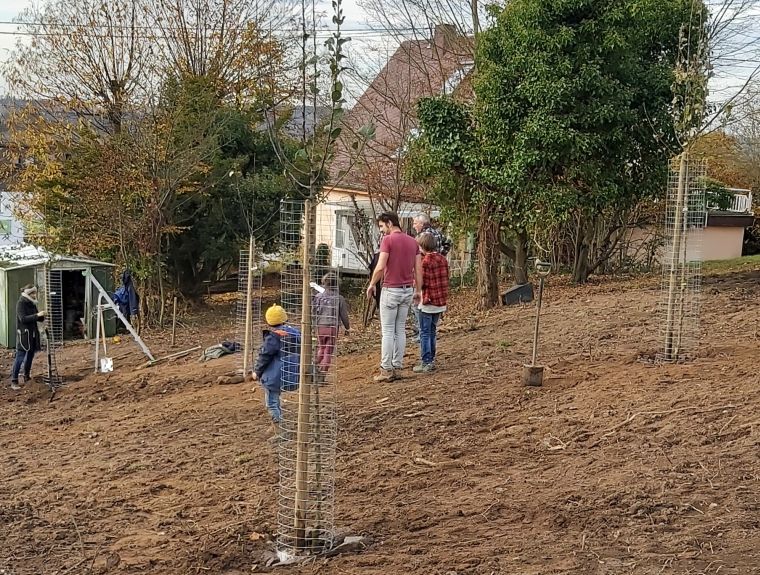 Obstbume in Caan gepflanzt