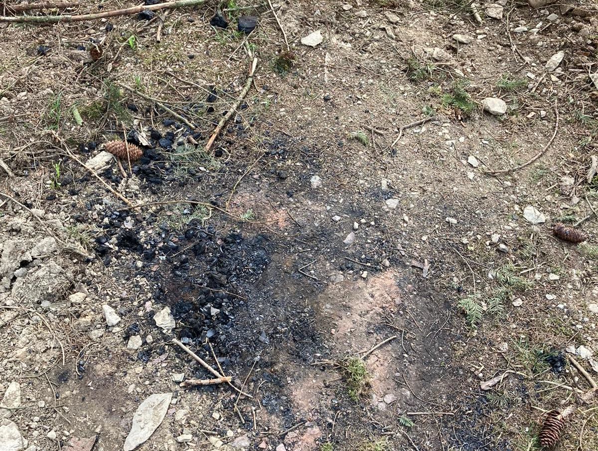 Feuerstelle im Wald entdeckt - Achtung Brandgefahr!