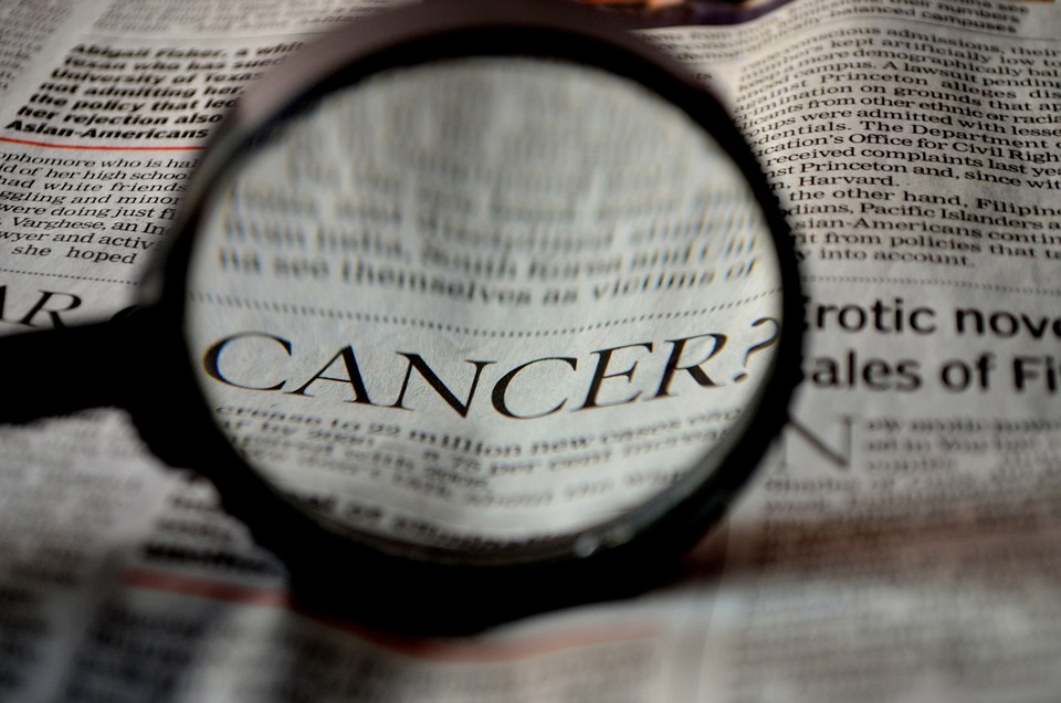 Krebsgesellschaft RLP übernimmt zusätzlich die Aufgaben des Tumorzentrums RLP
(Foto: Pixabay)