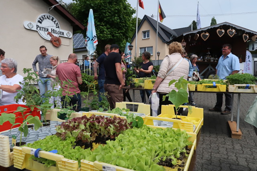 Limbacher Krutermarkt (Fotoquelle: Julia Bongartz)