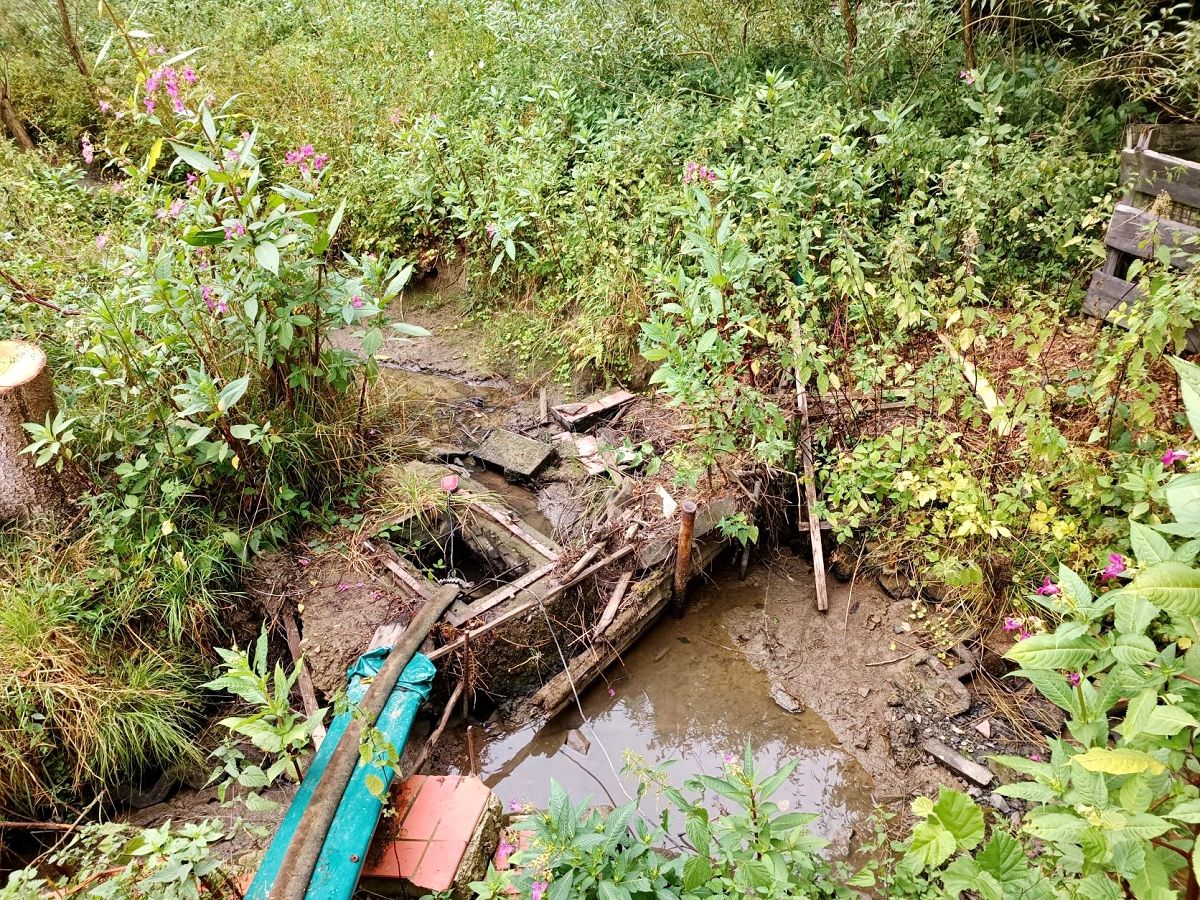 Sinkende Wasserstnde und hohe Verdunstungsraten haben gravierend negative Auswirkungen auf alle Pflanzen und Tiere, die auf den Lebensraum am und im Gewsser angewiesen sind. Darauf macht das Umweltreferat der Kreisverwaltung Neuwied aufmerksam. (Foto: Martin Boden / Kreisverwaltung Neuwied)