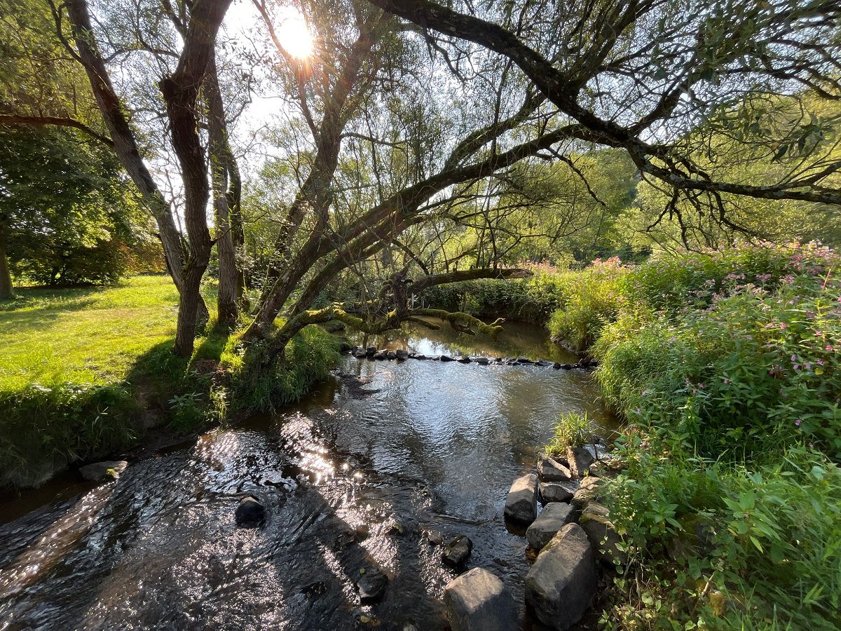 Die anhaltende Hitze und Trockenheit wirkt sich wieder sichtbar auf die Wasserstnde der Bche und Flsse im Kreis aus (hier die Wied bei Altenkirchen). (Foto: Kreisverwaltung / Thorsten Stahl)
