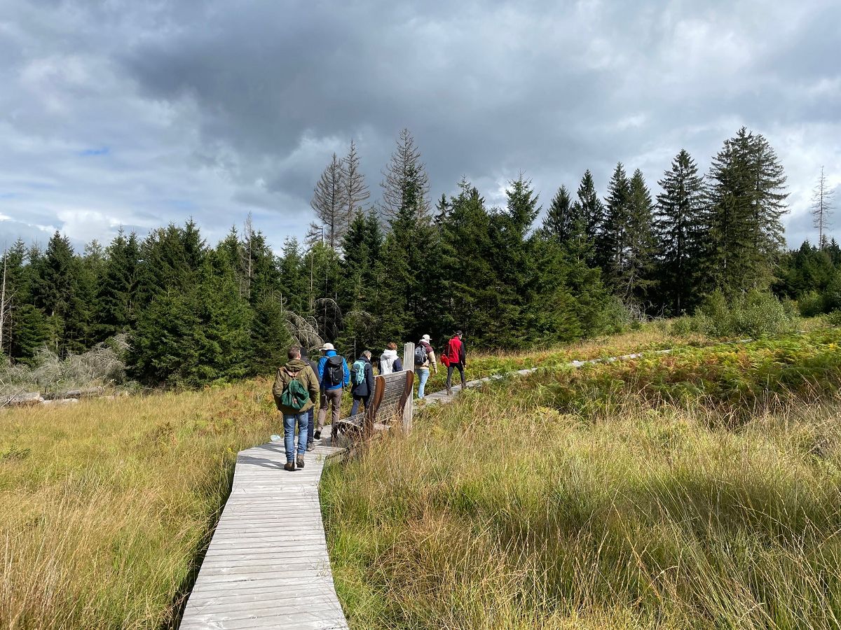Montabaur macht Ernst: 20 Prozent des Stadtwalds werden Naturwald