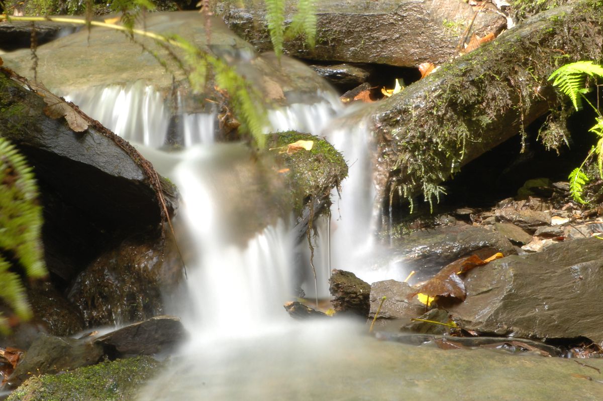 Laubacher Wasserfall. (Foto: Louis Blackmore)