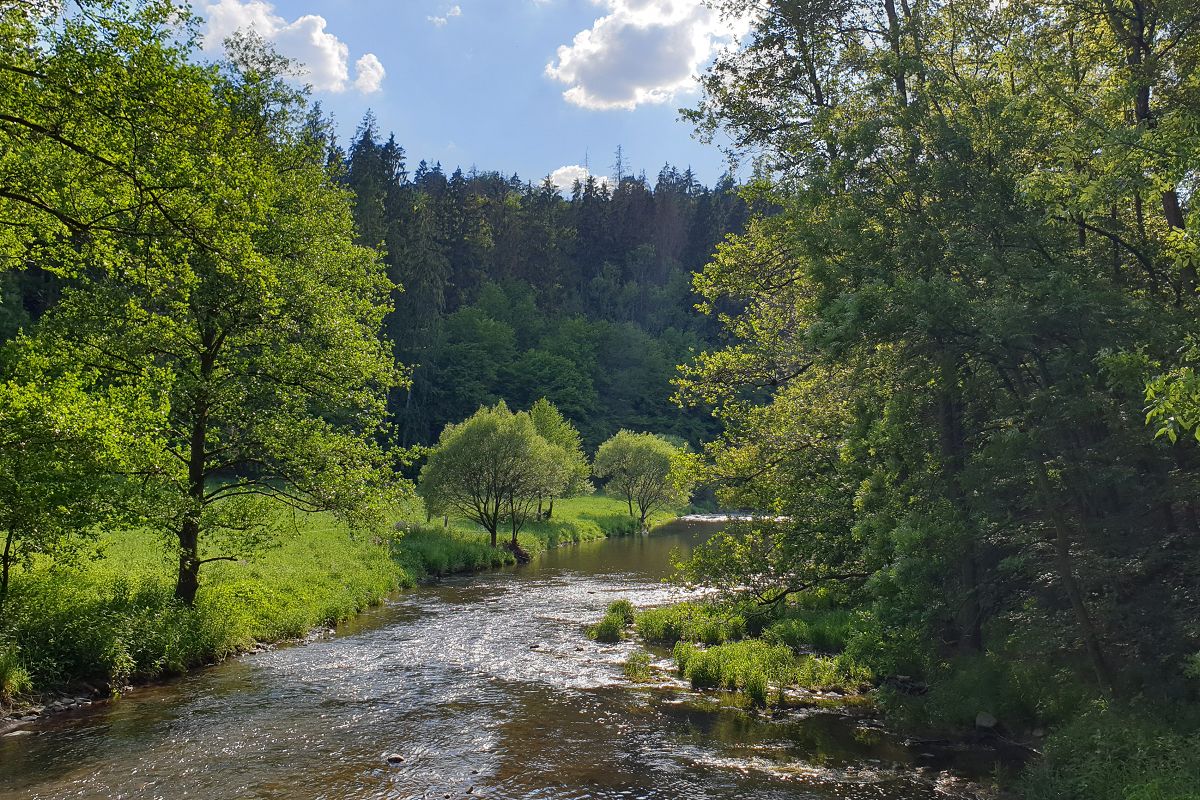 (Fotoquelle: Ralph Hilger/Kultur- und Verkehrsverein Limbach e.V. (KuV))