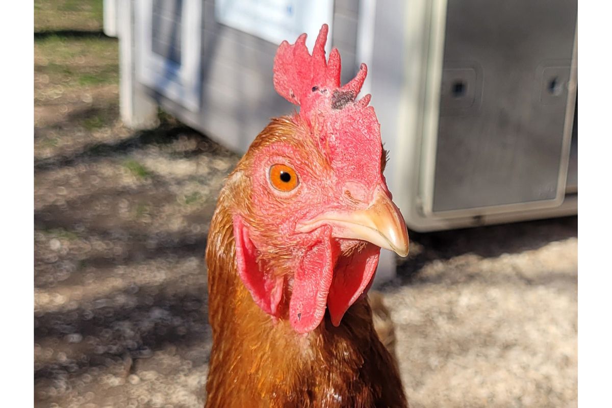 (alle Fotos: Daniela Simon)