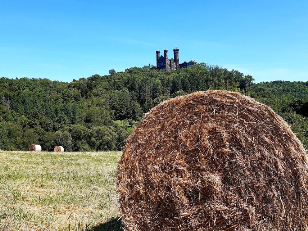 (Foto: Typisch Westerwald)