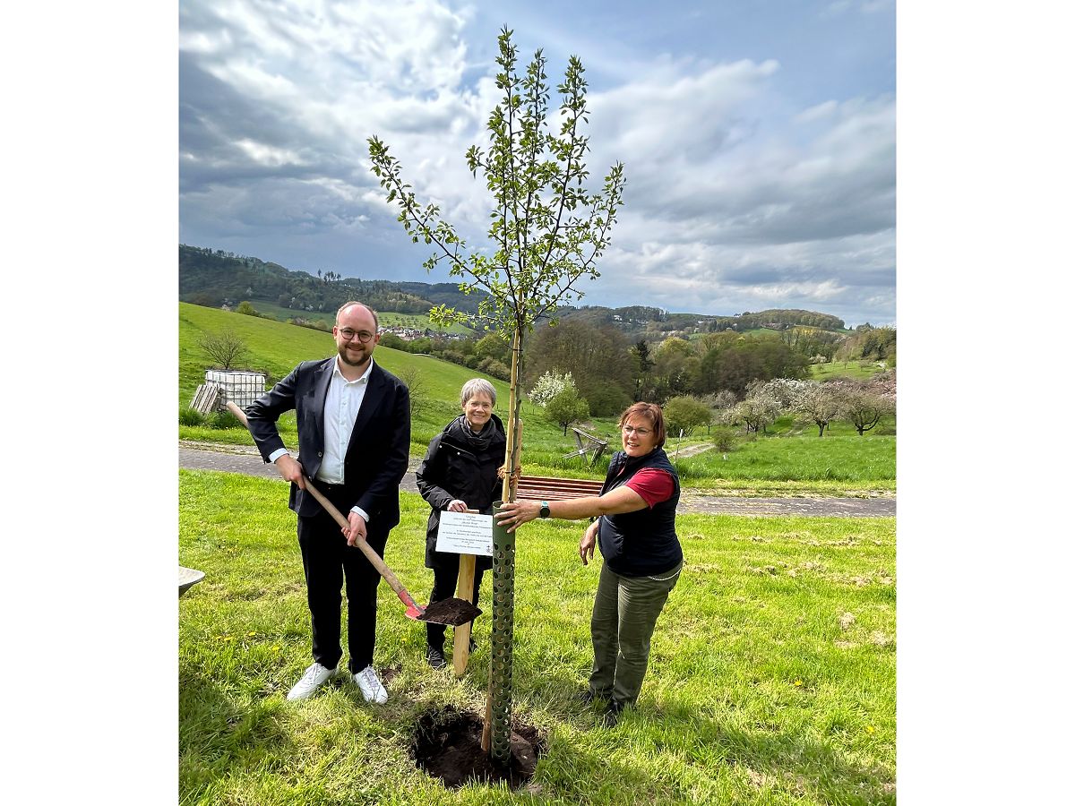 Pierre Fischer, der B�rgermeister der Verbandsgemeinde Rengsdorf-Waldbreitbach, Generaloberin Schwester M. Michaele Rohde und Kordula Honnef, G�rtnerin der Waldbreitbacher Klosterg�rten (von links), pflanzen eine Esskastanie und eine Mostbirne auf der Streuobstwiese des Waldbreitbacher Klosterbergs. (Foto: Anja Loudovici)

