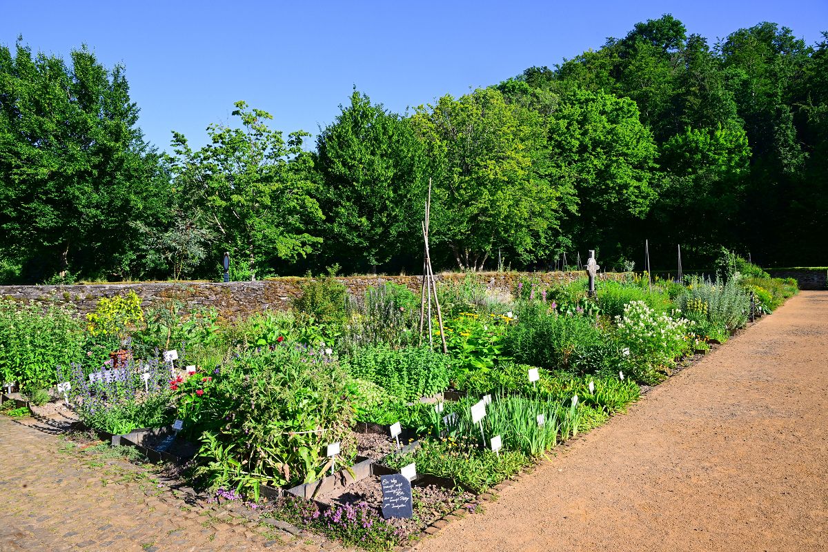 (Foto: Harry Neumann / Naturschutzinitiative e.V. (NI))