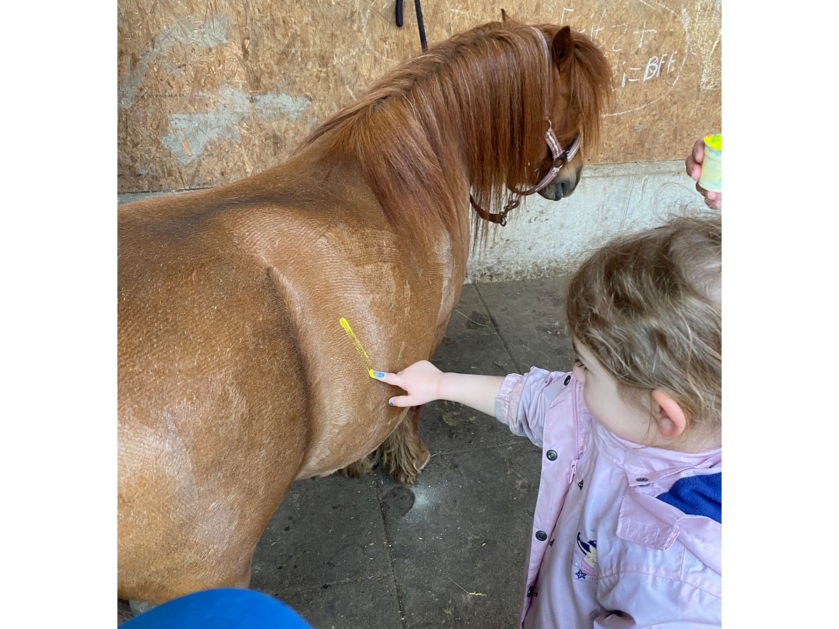 Kinder der KiTa erleben Projektwoche mit Ponys in Selbach