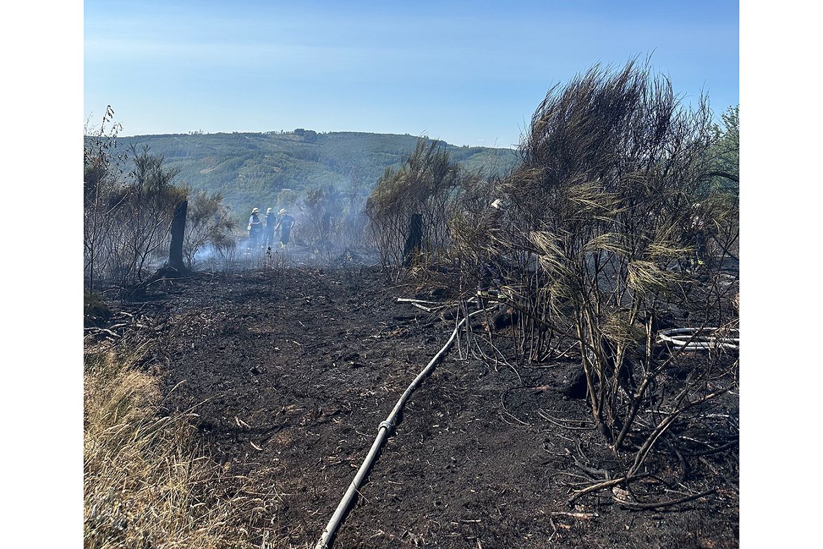 (alle Fotos: Feuerwehr VG Daaden-Herdorf)