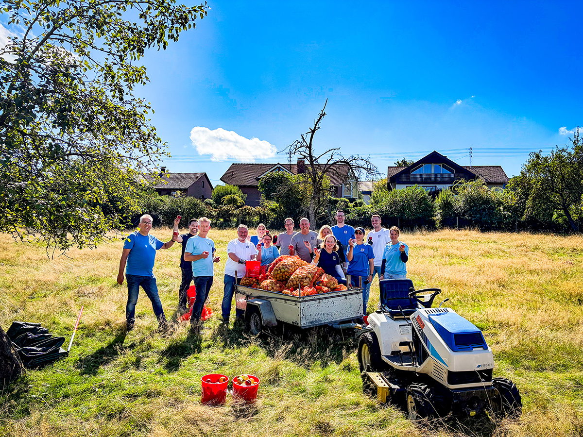 Bei der Apfelernte am �kumenischen Hospiz Kloster Bruche packten diesmal Mitarbeiter der Deutschen Bank in Siegen mit an. Das Apfelfest wird am kommenden Sonntag ab 14.30 Uhr wieder rund um die Klosterscheunen gefeiert. (Foto: Deutsche Bank / Kirsten Wiemann)
