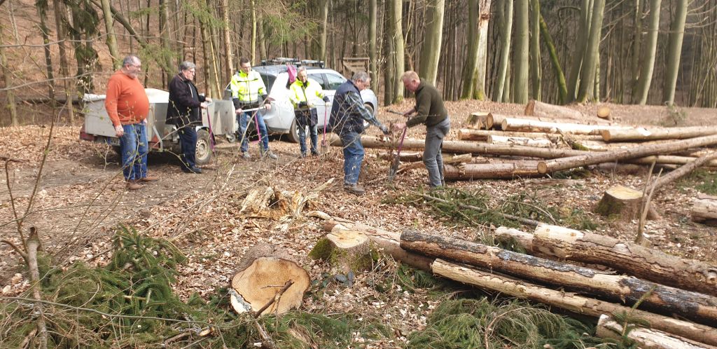 CDU-Vorstandsmitglieder beim Pflanzen mit Revierfrster Eckhard Niebisch (rechts). Foto: CDU-Gemeindeverband 