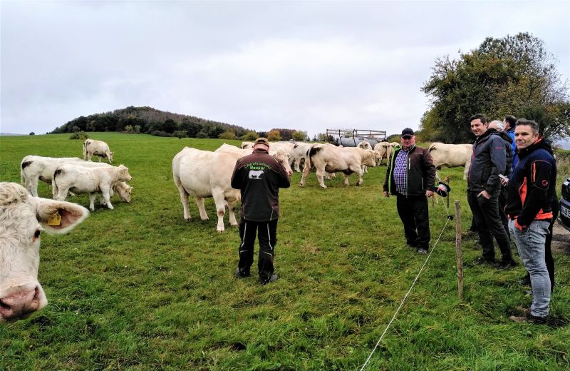 Kommunalpolitiker zu Besuch bei den Charolais-Rindern der Familie Becker. Fotos: privat