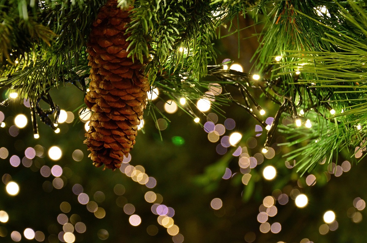 Weihnachtsmarkt am Oberbieberer Schwanenteich