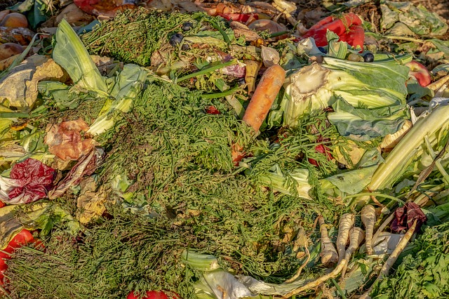Ist es die SUEZ-Kompostieranlage, die im Diestelfeld stinkt? Die Brger jedenfalls fhlen sich nicht ernstgenommen. Symbolfoto