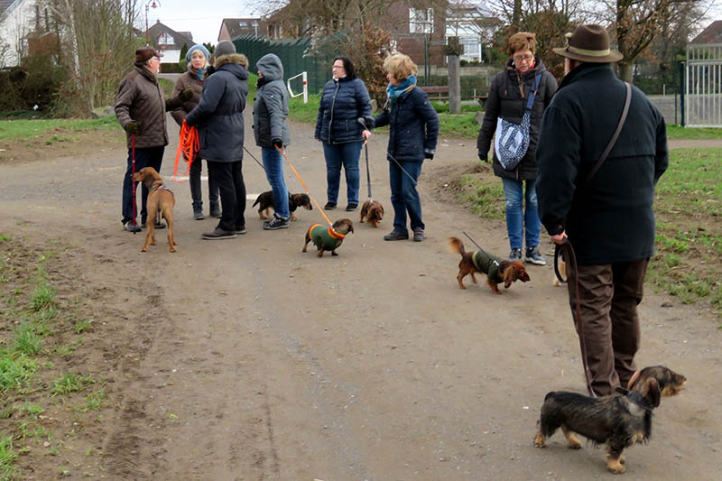 Die Dackelfreunde bei ihrer Wanderung. Foto: privat 
