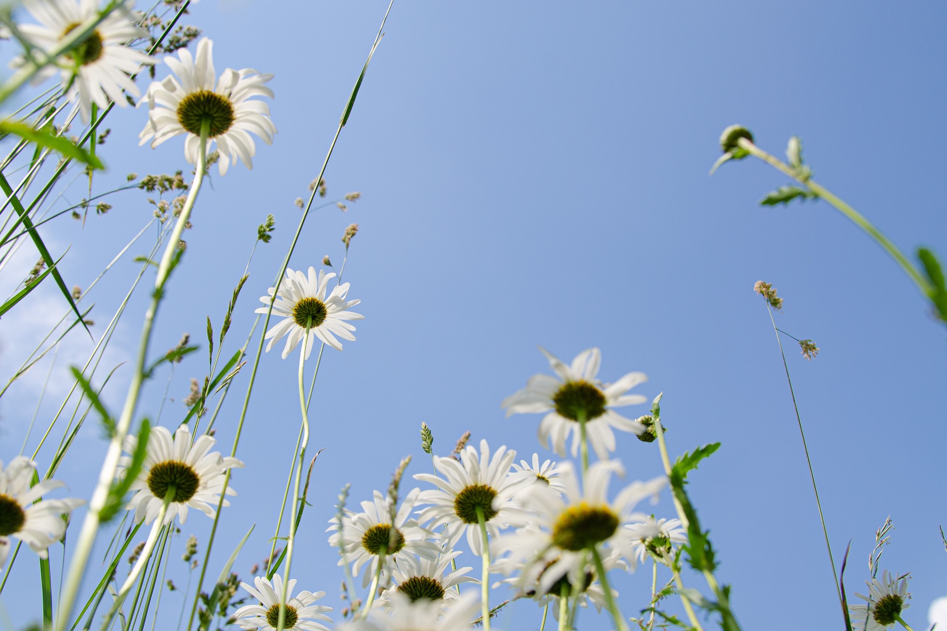 Westerwaldwetter: vorlufig letztes Frhlingswochenende mit viel Sonne