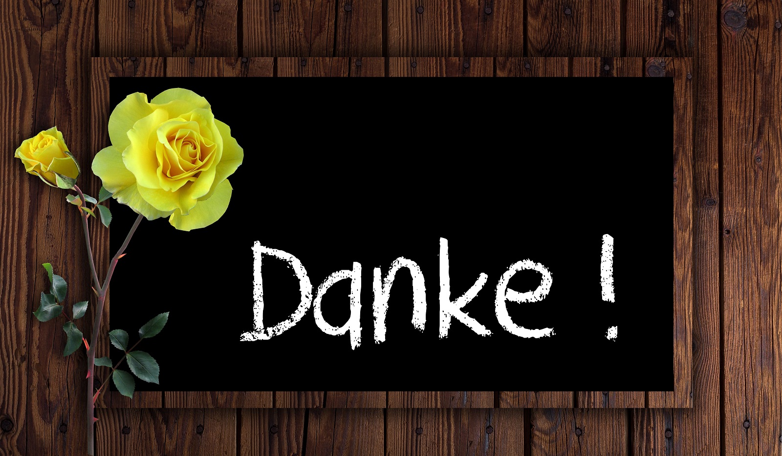 Symbolbild. (Quelle: Pixabay)