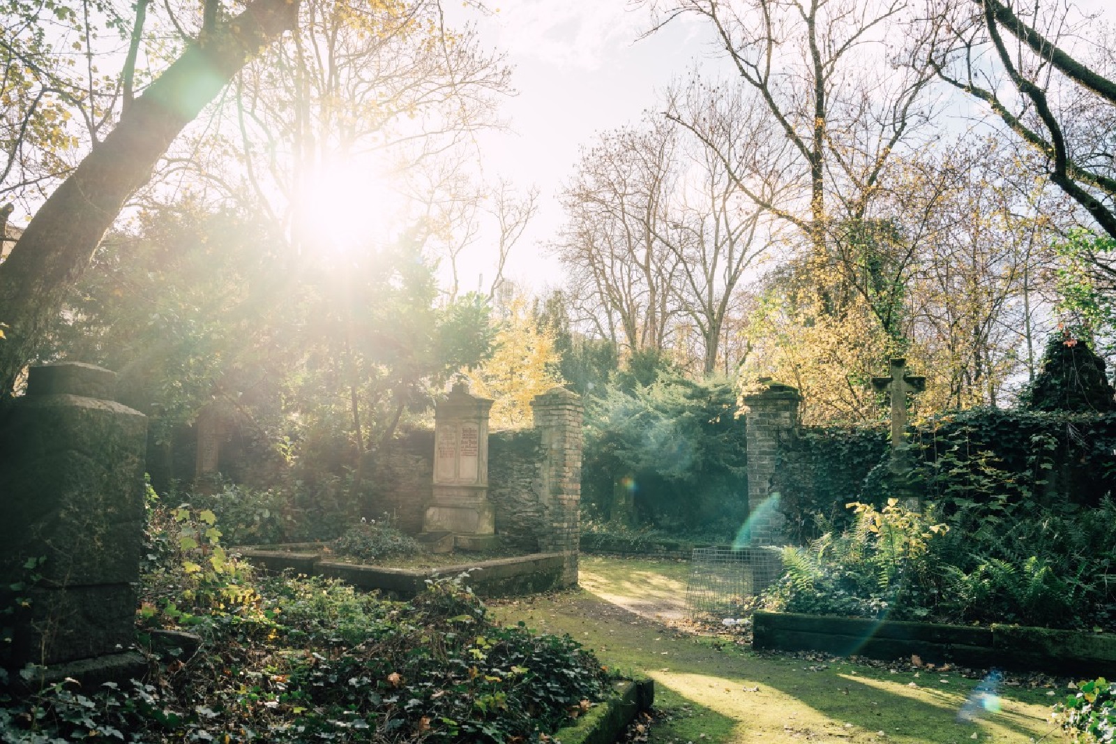 Der Friedhof. (Foto: Zimpfer Photography)