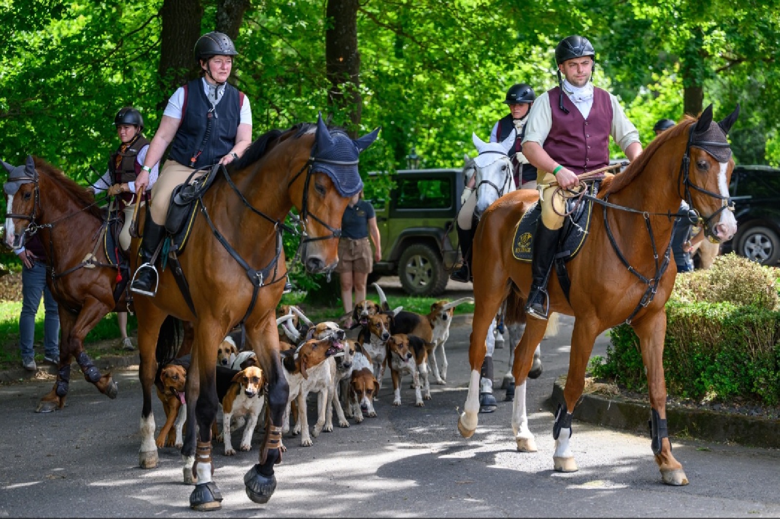 Zusammenspiel von Mensch, Pferd und Hund. (Foto: timohaas fotografie)