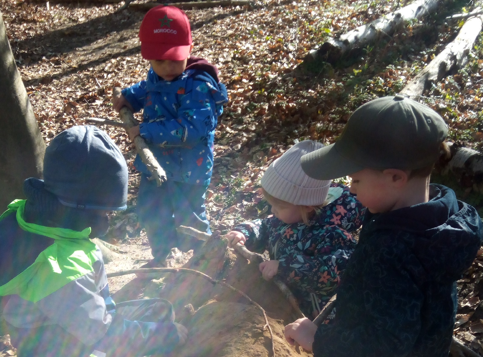 Abenteuer im Wald. (Quelle: Kita Hummelnest)