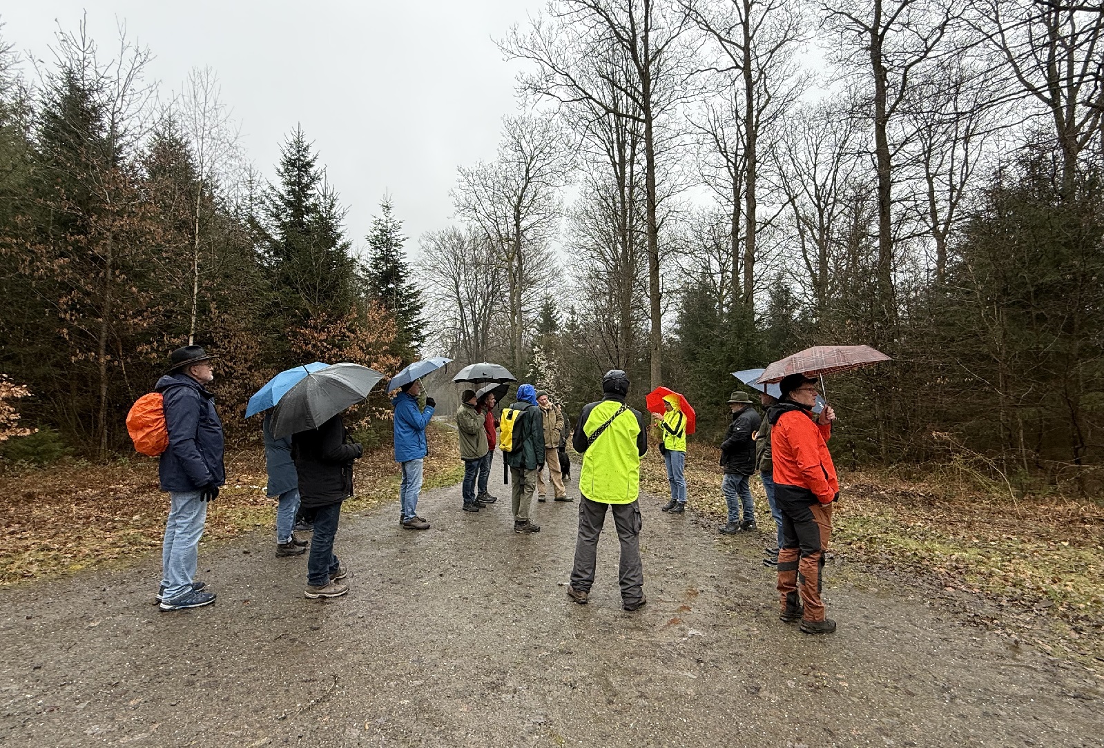 Die Waldexkursion im Regen. (Foto: R�diger Schneider)