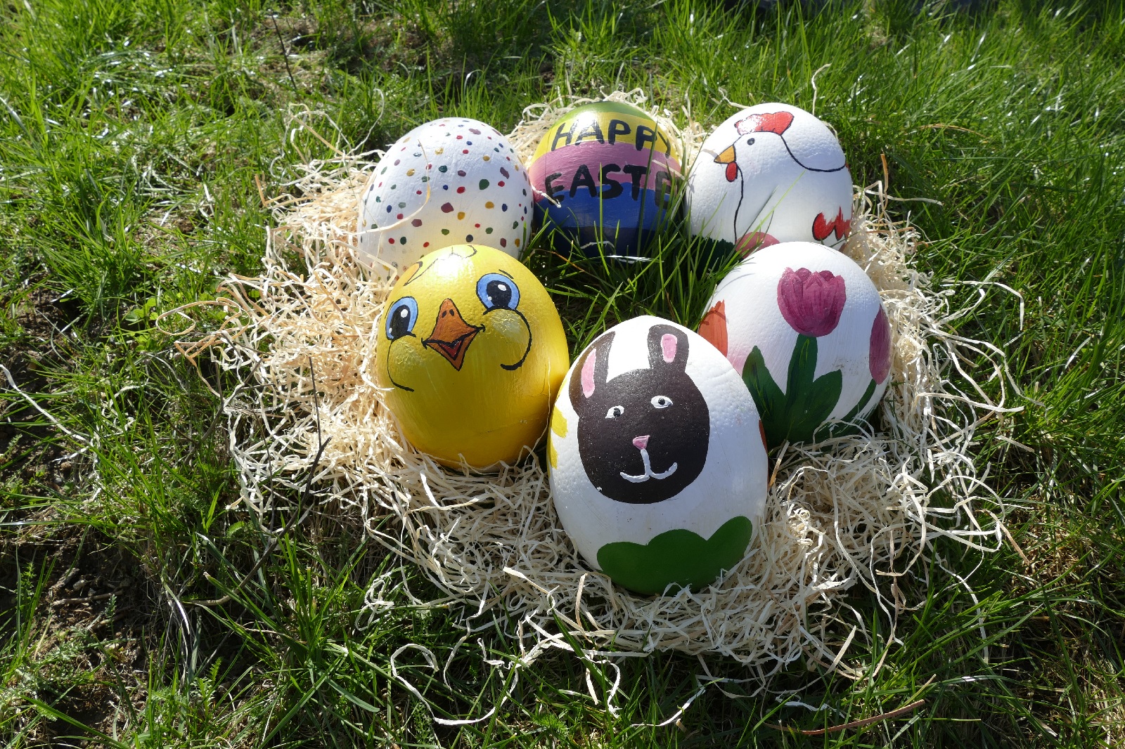 Wer findet die Eier im Zoo. (Quelle: Franziska Waked)