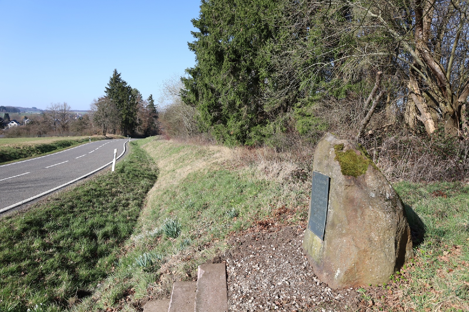 Das Busungl�ck ereignete sich nur wenige hundert Meter oberhalb von H�chstenbach, wo der Bus auf einen Baum prallte. Grund war ein Versagen der Bremsen. (Foto: Sabine Hammann-Gonschorek)