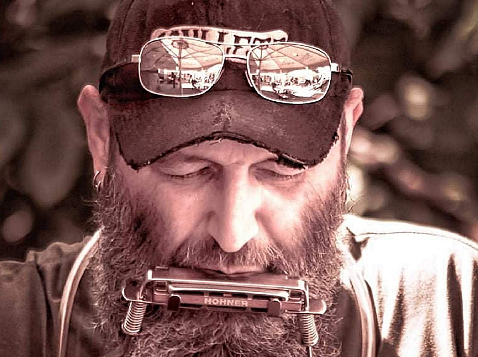 Star Dog Champion. (Quelle: Kasinogesellschaft Gambrinus e.V.)