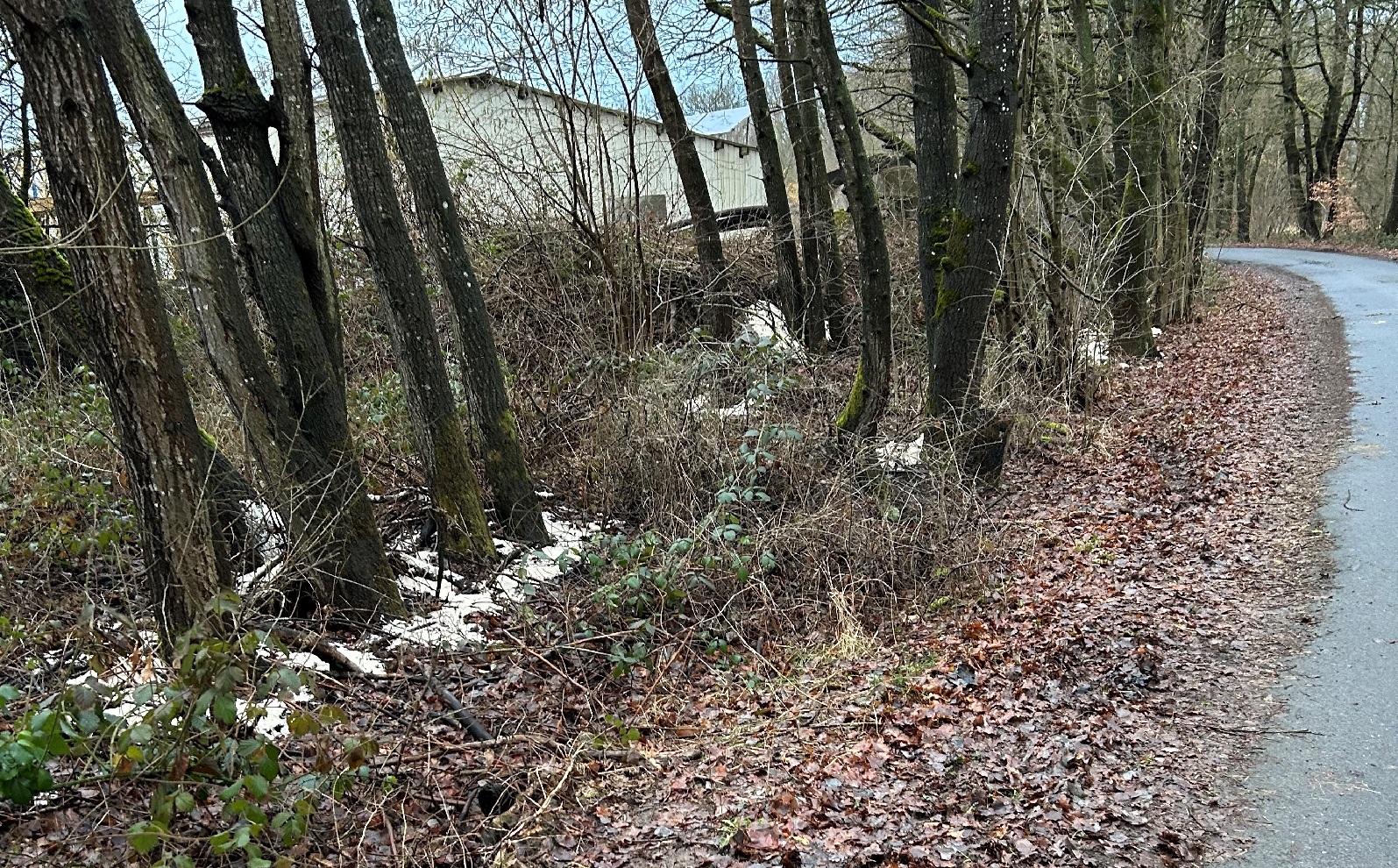 So sollte Streusalz niemals eingesetzt werden. (Quelle: Verbandsgemeindeverwaltung Altenkirchen-Flammersfeld)