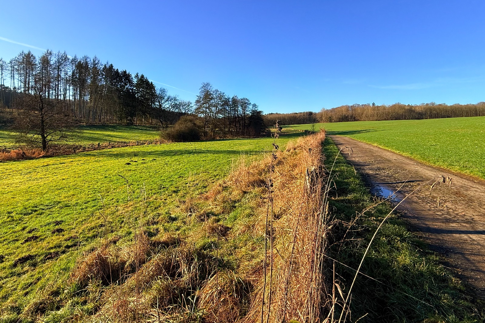 Rother Weiher und �lsbach: Auch in diesem �kologisch hochwertigen Gebiet sollen die
geplanten WEA im M�rkerwald gebaut werden. (Foto: Catrin Heinze/Naturschutzinitiative e.V.)